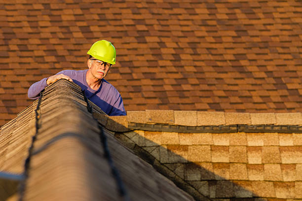 Roof Gutter Cleaning in Medford, NY